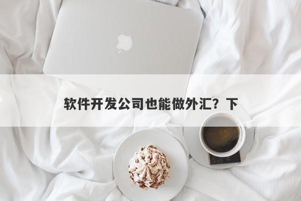 软件开发公司也能做外汇？下