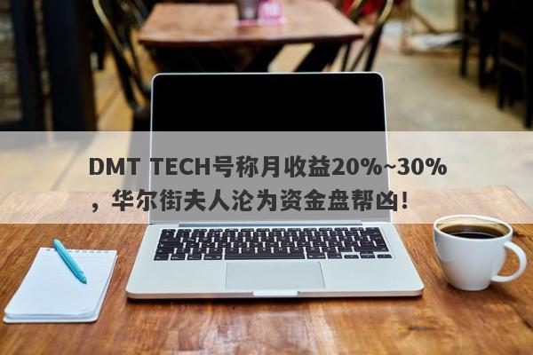 DMT TECH号称月收益20%~30%，华尔街夫人沦为资金盘帮凶！