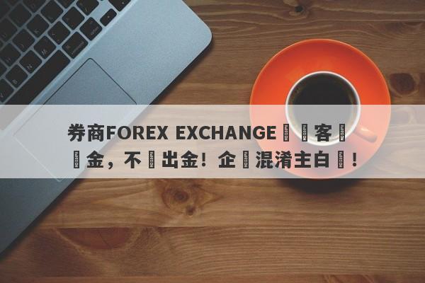 券商FOREX EXCHANGE凍結客戶資金，不給出金！企圖混淆主白標！