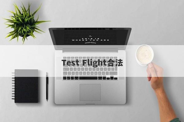 Test Flight合法