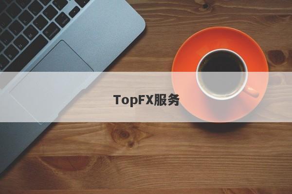 TopFX服务