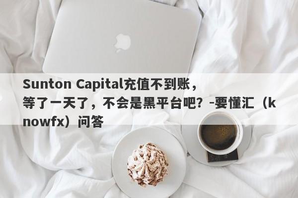 Sunton Capital充值不到账，等了一天了，不会是黑平台吧？-要懂汇（knowfx）问答