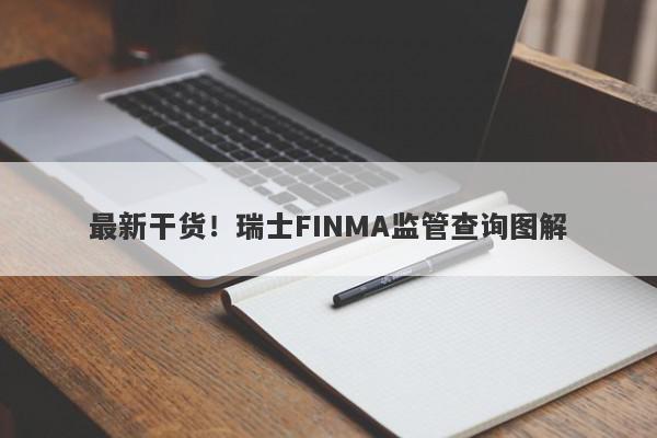 最新干货！瑞士FINMA监管查询图解