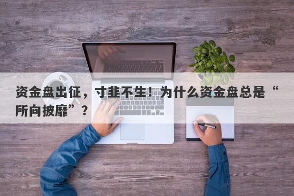 资金盘出征，寸韭不生！为什么资金盘总是“所向披靡”？