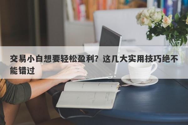 交易小白想要轻松盈利？这几大实用技巧绝不能错过