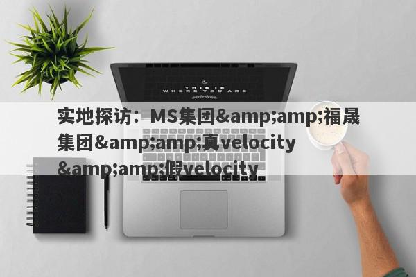 实地探访：MS集团&amp;福晟集团&amp;真velocity&amp;假velocity