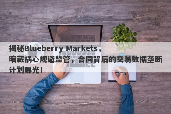 揭秘Blueberry Markets，暗藏祸心规避监管，合同背后的交易数据垄断计划曝光！