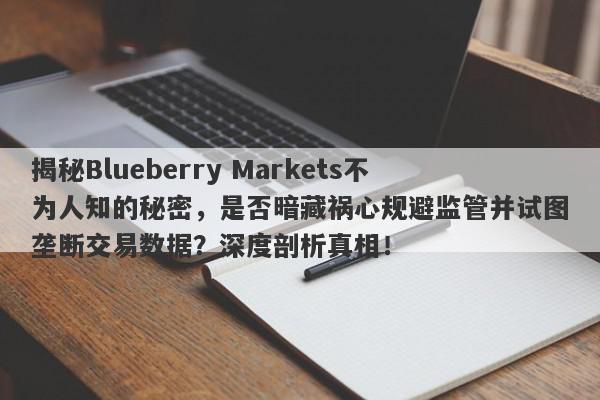 揭秘Blueberry Markets不为人知的秘密，是否暗藏祸心规避监管并试图垄断交易数据？深度剖析真相！