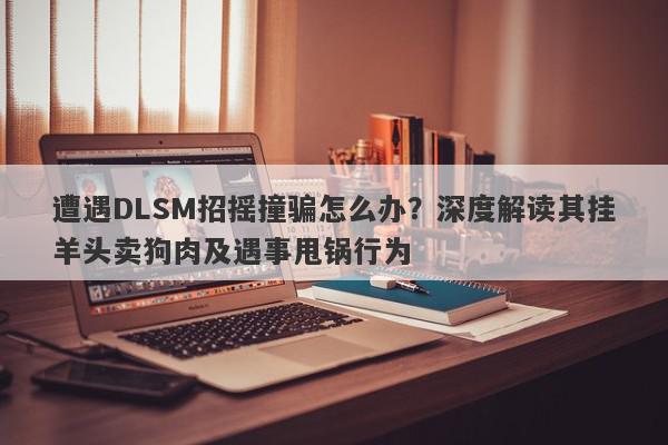 遭遇DLSM招摇撞骗怎么办？深度解读其挂羊头卖狗肉及遇事甩锅行为