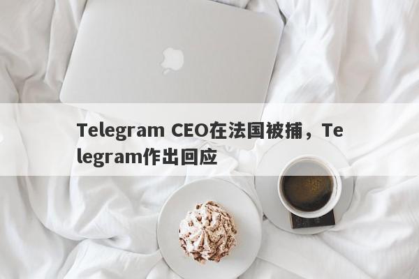 Telegram CEO在法国被捕，Telegram作出回应