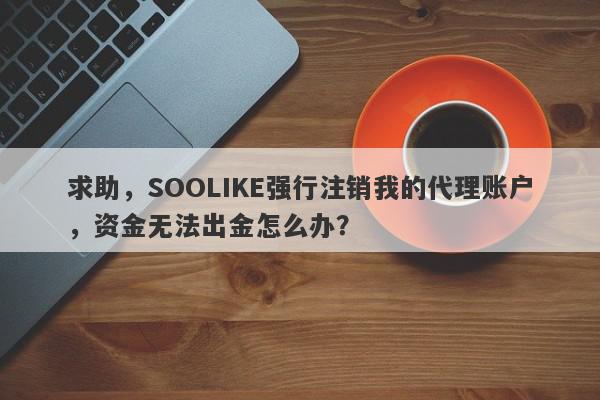 求助，SOOLIKE强行注销我的代理账户，资金无法出金怎么办？