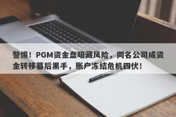 警惕！PGM资金盘暗藏风险，同名公司成资金转移幕后黑手，账户冻结危机四伏！