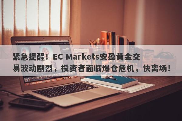 紧急提醒！EC Markets安盈黄金交易波动剧烈，投资者面临爆仓危机，快离场！