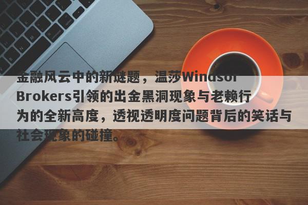 金融风云中的新谜题，温莎Windsor Brokers引领的出金黑洞现象与老赖行为的全新高度，透视透明度问题背后的笑话与社会现象的碰撞。