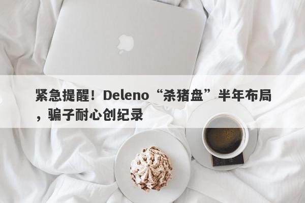 紧急提醒！Deleno“杀猪盘”半年布局，骗子耐心创纪录