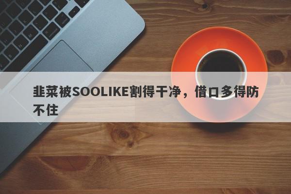 韭菜被SOOLIKE割得干净，借口多得防不住