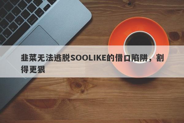 韭菜无法逃脱SOOLIKE的借口陷阱，割得更狠