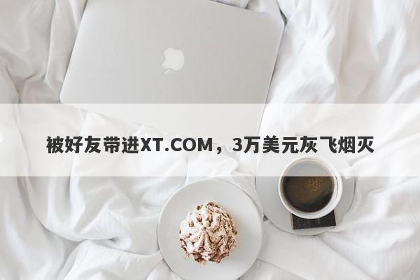 被好友带进XT.COM，3万美元灰飞烟灭