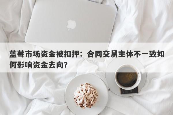 蓝莓市场资金被扣押：合同交易主体不一致如何影响资金去向？