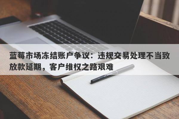 蓝莓市场冻结账户争议：违规交易处理不当致放款延期，客户维权之路艰难