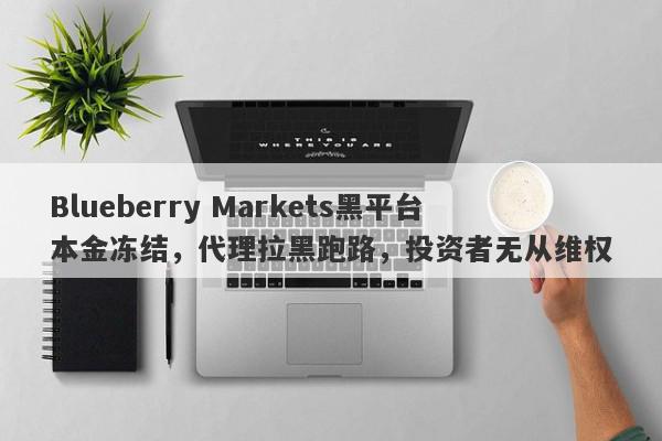 Blueberry Markets黑平台本金冻结，代理拉黑跑路，投资者无从维权