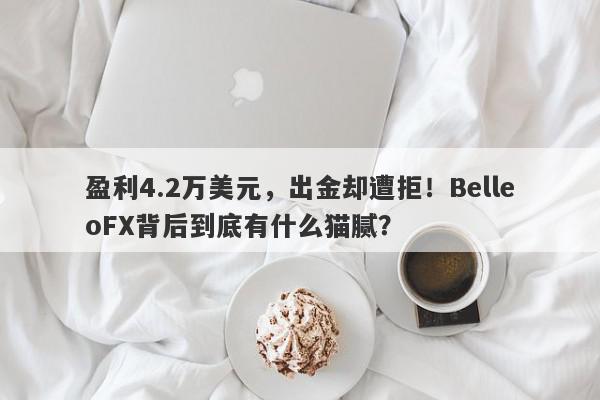 盈利4.2万美元，出金却遭拒！BelleoFX背后到底有什么猫腻？