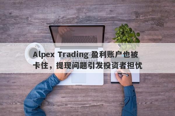 Alpex Trading 盈利账户也被卡住，提现问题引发投资者担忧