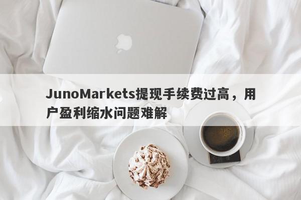 JunoMarkets提现手续费过高，用户盈利缩水问题难解