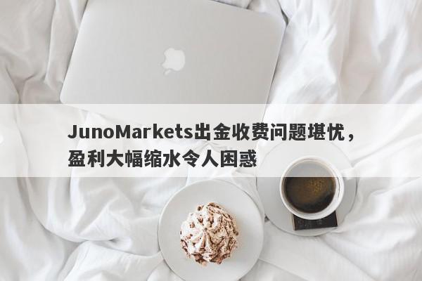 JunoMarkets出金收费问题堪忧，盈利大幅缩水令人困惑