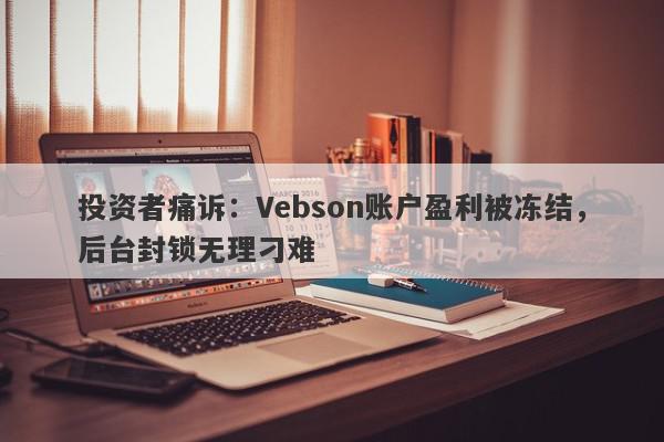 投资者痛诉：Vebson账户盈利被冻结，后台封锁无理刁难