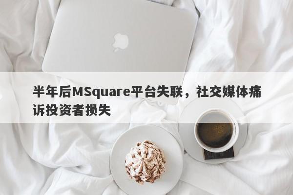 半年后MSquare平台失联，社交媒体痛诉投资者损失