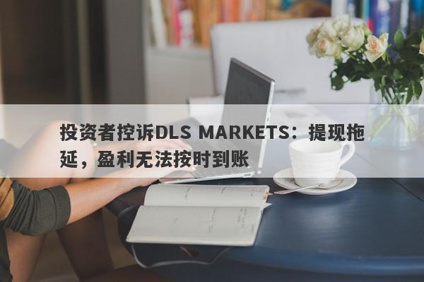 投资者控诉DLS MARKETS：提现拖延，盈利无法按时到账