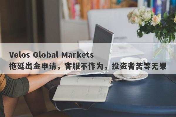 Velos Global Markets拖延出金申请，客服不作为，投资者苦等无果