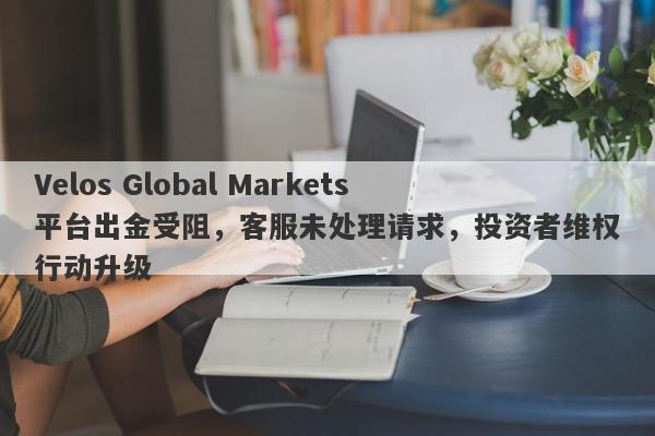 Velos Global Markets平台出金受阻，客服未处理请求，投资者维权行动升级