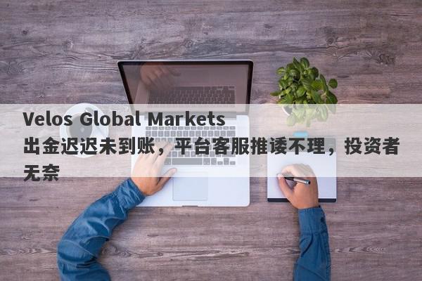 Velos Global Markets出金迟迟未到账，平台客服推诿不理，投资者无奈