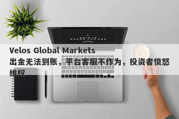 Velos Global Markets出金无法到账，平台客服不作为，投资者愤怒维权