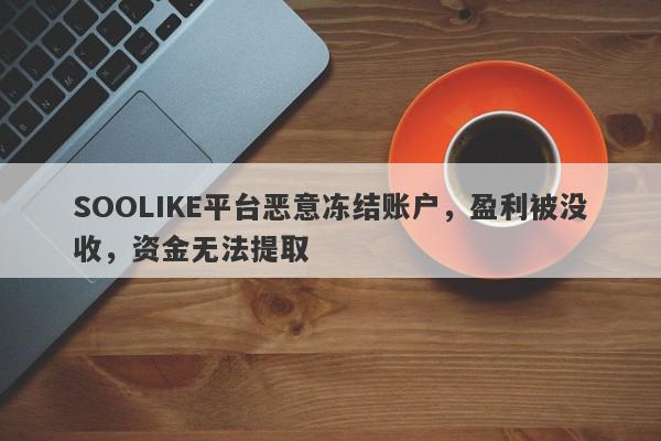 SOOLIKE平台恶意冻结账户，盈利被没收，资金无法提取