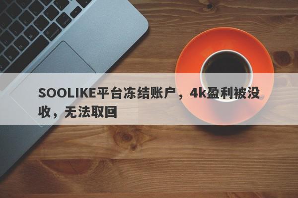 SOOLIKE平台冻结账户，4k盈利被没收，无法取回