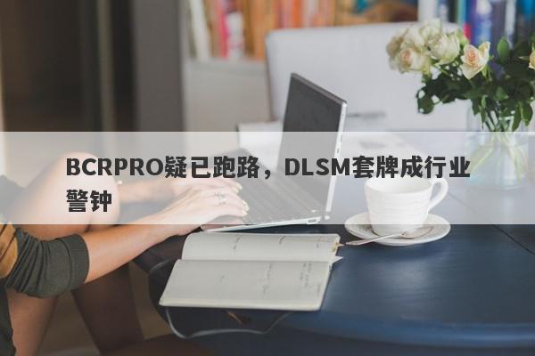 BCRPRO疑已跑路，DLSM套牌成行业警钟