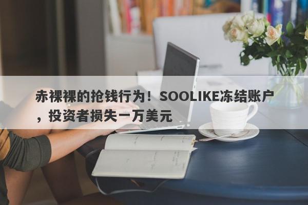 赤裸裸的抢钱行为！SOOLIKE冻结账户，投资者损失一万美元