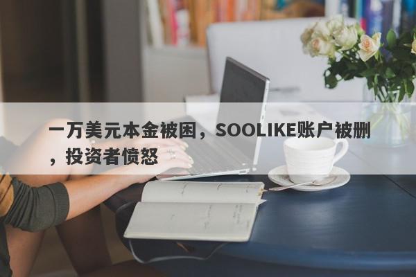 一万美元本金被困，SOOLIKE账户被删，投资者愤怒